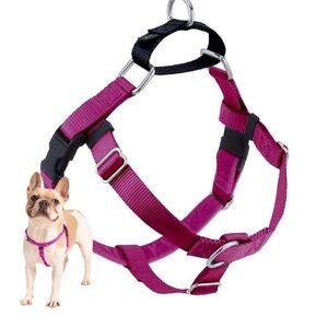 2 Hounds Design Dog Harness Freedom No-Pull Training Harness Leash in Raspberry